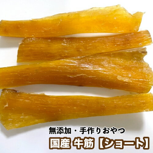 犬 おやつ 無添加 手作りおやつ　国産　牛筋　100g　牛筋　牛アキレス同等の硬さ　松坂牛　犬　おやつ　メール便送料無料