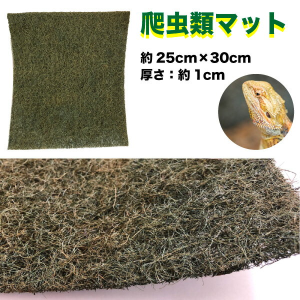 ヤシガラマット 爬虫類専用 飼育用 床材マット 【1枚 / 約25cm×30cm 厚さ約1cm】 底材 カット可 ヤシマット フトアゴ クリックポスト送料無料【DBP】