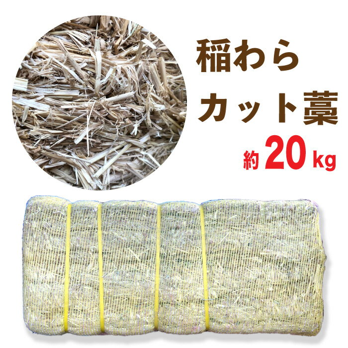 稲わら　わら カットわら 　【約20kg】　 長さ約5〜10cm程度にカットされたわらです。　 ●農業・園芸用 敷きわらに ●マルチング等に ●小動物の敷材、寝床に ワラをほぐす事が出来かねますので検品に限りがございますことをどうぞご理解下さい。 与える前には（ビニール・虫・金属片など）異物の混入がないかを確認下さい。 ほぐす際は軍手の着用をおすすめします ご注意：※ロットにより多種の牧草類と混同で入荷する場合があり、表面に牧草が一部付着した状態でのお届けとなる事がございます。 予めご了承お願いいたします。牧草がついてることによります返品・キャンセルはお受けできません。 ※ネットをカットする際ケガの無いようご注意下さい稲わら　わら カットわら 　【約20kg】　 長さ約5〜10cm程度にカットされたわらです。　 ●農業・園芸用 敷きわらに ●マルチング等に ●小動物の敷材、寝床に ワラをほぐす事が出来かねますので検品に限りがございますことをどうぞご理解下さい。 与える前には（ビニール・虫・金属片など）異物の混入がないかを確認下さい。 ほぐす際は軍手の着用をおすすめします ご注意：※ロットにより多種の牧草類と混同で入荷する場合があり、表面に牧草が一部付着した状態でのお届けとなる事がございます。 予めご了承お願いいたします。牧草がついてることによります返品・キャンセルはお受けできません。 ※ネットをカットする際ケガの無いようご注意下さい