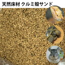 爬虫類 小動物 クルミ殻サンド 【1kg(500g×2通)(約2.5L)】 細粒 くるみ殻 トイレ砂 両生類 床材 敷き材 リクガメ トゲアオガマ メール便送料無料【DBP】