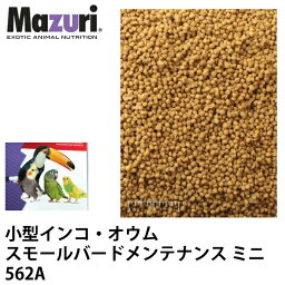 Mazuri マズリ 小型インコ・オウム スモールバードメンテナンス ミニ 562A フード 1kg 小鳥 ペレット エサ【JPS】