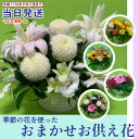 【ペット用 】お供え花 お悔やみ花 旬のおまかせ供花　選べる旬のお花 Sサイズ【生花】お悔やみ お供 ...