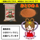 【メール便送料無料】 日清丸紅飼料 おとひめA(0.25mm以下) 1kg(500g×2p) 沈降性 メダカのごはん 乙姫 稚魚の餌 グッピーのエサ【THB】