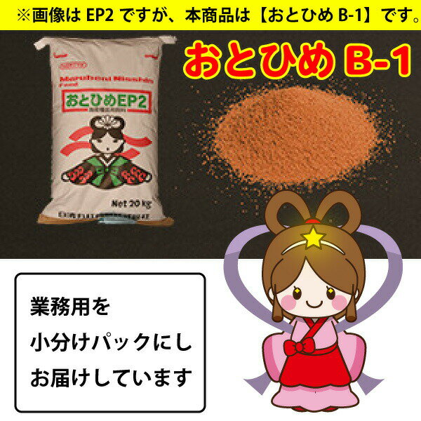 日清丸紅飼料 おとひめB1(0.36mm以下) 100g 沈降性 B-1 メダカのごはん 乙姫 稚魚の餌 グッピーのエサ【THB】