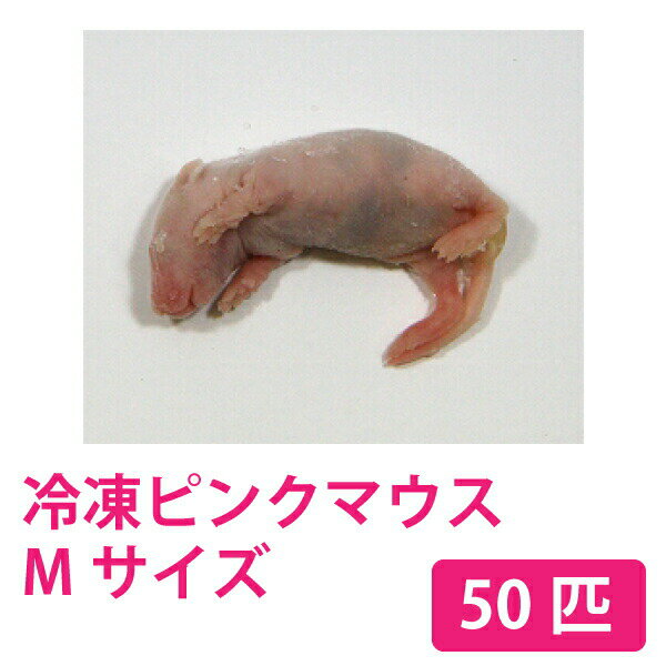 富城物産 冷凍 ピンクマウス Mサイズ(約3.0cm) 50匹<冷凍クール便配送> 爬虫類 猛禽類 肉食魚 哺乳類 ヘビ トカゲ フクロウ ハリネズミ 小型猿などに【TOMI】