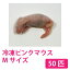 پʪ  ԥ󥯥ޥ M(3.0cm) 50ɤ९  Զ  Ӯ إ ȥ ե ϥͥ ʤɤˡTOMI