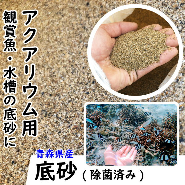 水洗い不要ですぐ使える アクアリウムに最適な魚飼育用の砂のおすすめランキング 野に行く