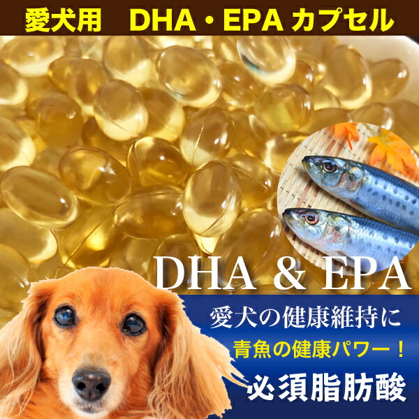 楽天大伸物産　楽天市場ショップペット用 犬 DHA EPA カプセル（65g/約100粒程度） DHA EPA サプリ 犬 サプリメント オメガ3 必須脂肪酸 アレルギー 健康 魚油 血液サラサラ【Z】