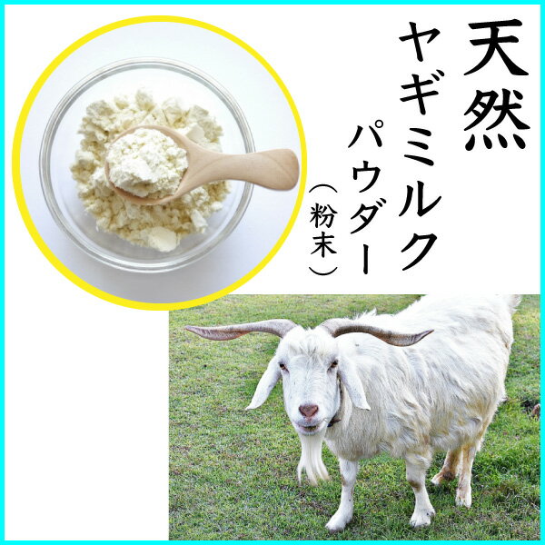 ペット用 やぎみるく パウダー(粉末) 100g ヤギミルク 山羊 ペット 愛犬・愛猫 栄養 サプリ 離乳 メール便送料無料【PIJ】