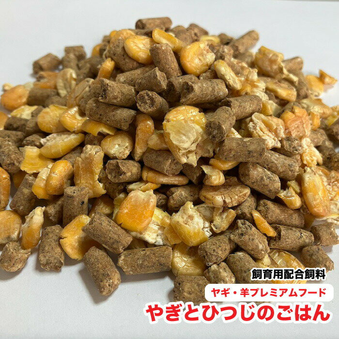 䤮ȤҤĤΤϤ󡡻ӡӥץߥաɡ20kgۡں޻ѡۡ䤮ҤĤ۹̵HTF