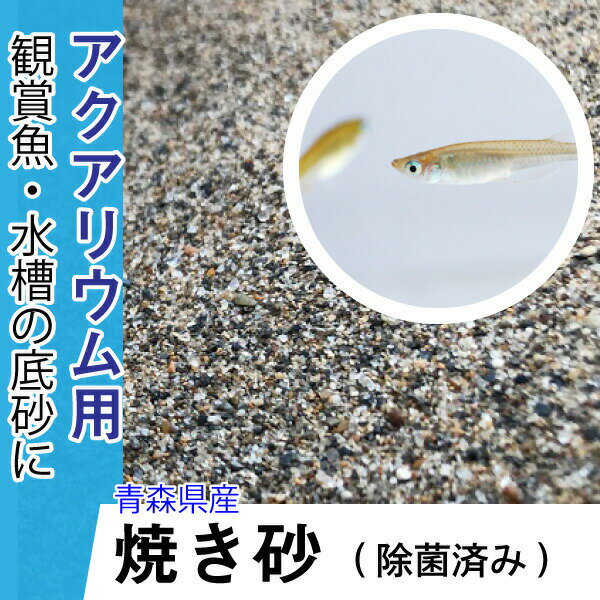 メダカなどの飼育・観賞魚、熱帯魚などアクアリウムに最適な除菌済みの国産の焼き砂です。 400度〜500度の高温で加熱し、雑菌や雑草の種などの発生を抑えた砂です。 サラサラした小粒で、自然な底砂として 原料：焼き砂（青森県産） 容量：3kg ...