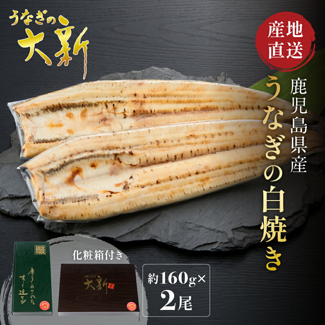 【白焼き 2尾】 うなぎ 国産 ギフト プレゼント 鰻 白