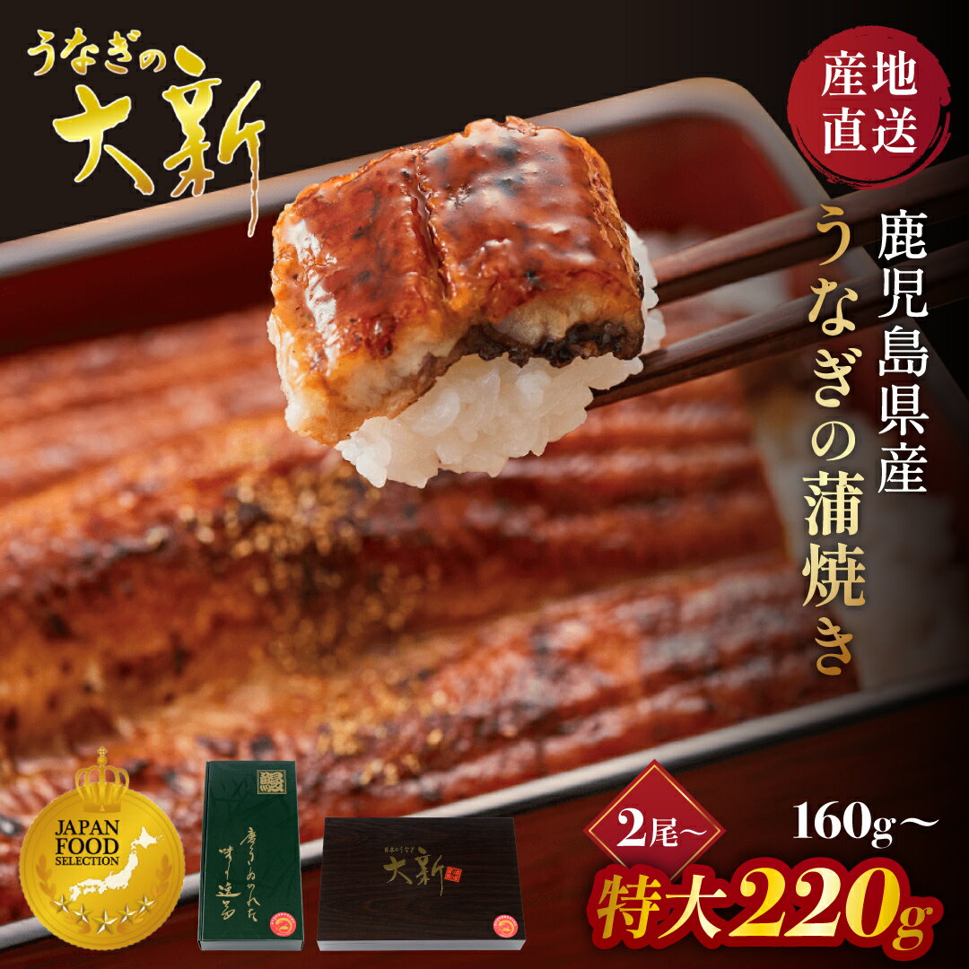 うなぎ 国産 ギフト プレゼント 鰻 蒲焼き 土用の丑 鹿児島県産 タレ 山椒付き うなぎ蒲焼き 贈物 真空パック お中元 お歳暮 内祝い お..