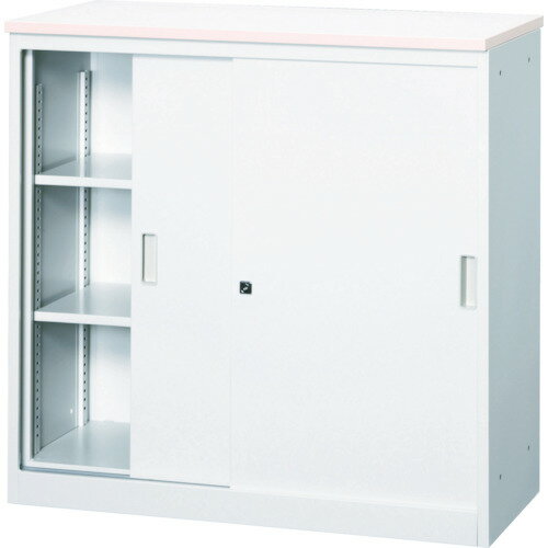 トラスコ中山 【別途送料】 【個人宅不可】 TRUSCO CVAカウンター W1200書庫型ハイカウンター グレー CVA-12HS-G [1-454-0531]