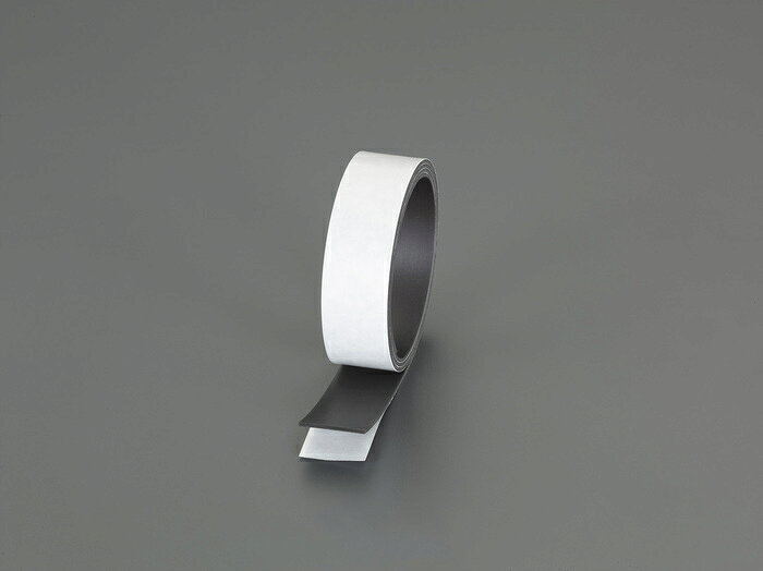 エスコ ESCO 【個人宅不可】 50x1.0mm/ 1m 粘着付マグネットシート EA781BW-211 [2-1195574]