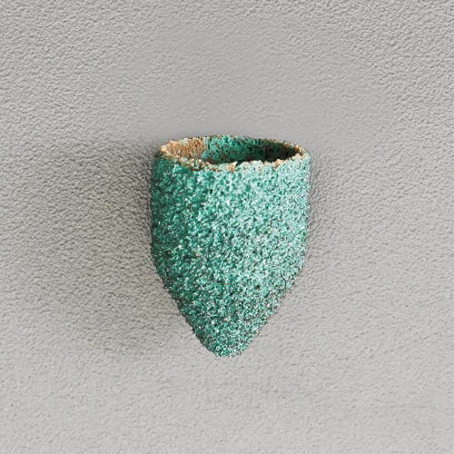 エスコ ESCO 【個人宅不可】 #80/13x19mm 研磨キャップ（5個） EA819GF-332 [2-1558805]