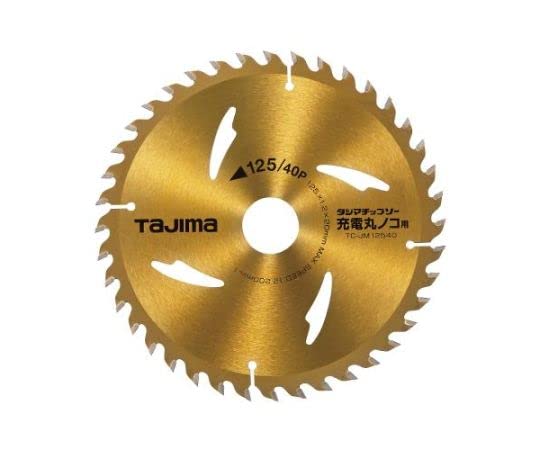 エスコ ESCO 【個人宅不可】 125mm/40T 超硬チップソー EA851CE-2 [2-1100592]