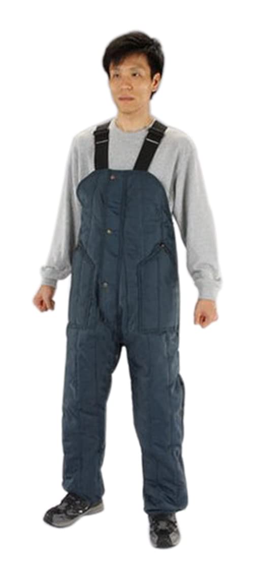 エスコ ESCO 【個人宅不可】 ［ L］ 防寒オーバーオール（Navy） EA915GC-53 [2-0594579]