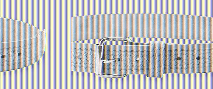 エスコ ESCO 【個人宅不可】 50mm/736-1168mm 作業用ベルト EA925CF-5 [2-1166734]