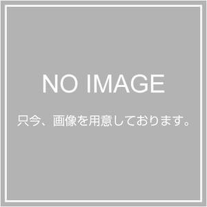 エスコ ESCO 【個人宅不可】 ［EA162DC用］ #80 x125mm ディスクペーパー（10枚） EA162DC-52 [2-5890518]