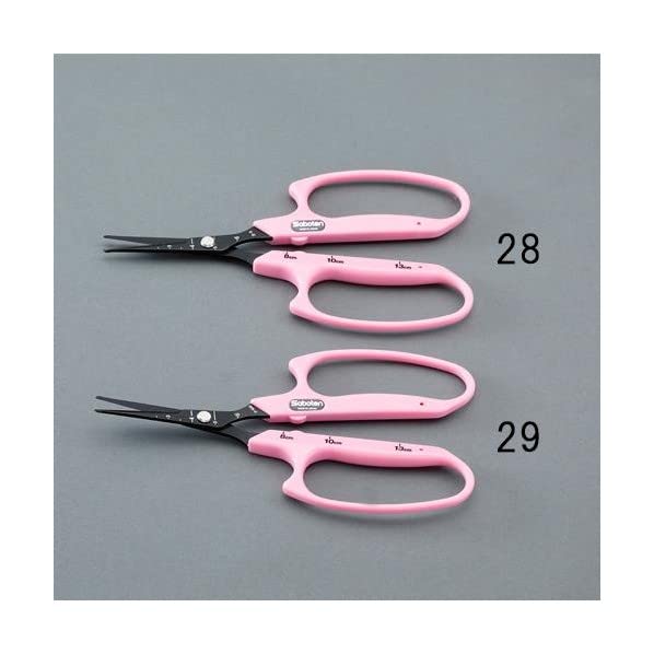 エスコ ESCO 【個人宅不可】 160mm 果樹用はさみ（フッ素コート/そり刃） EA540BK-29 [2-1509418]