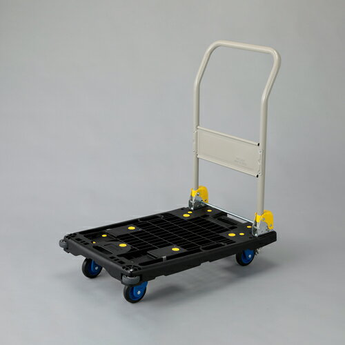 エスコ ESCO 【個人宅不可】 670x490mm/200kg 運搬車（ブレーキ付/傾斜天板 EA520BG-21 [2-1883464]