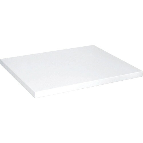 ダイケン 【別途送料】 【個人宅不可】 DAIKEN 集合住宅向け宅配ボックス 防滴仕様 オプション ひさし ホワイト TBX-V-W [1012-7415864]