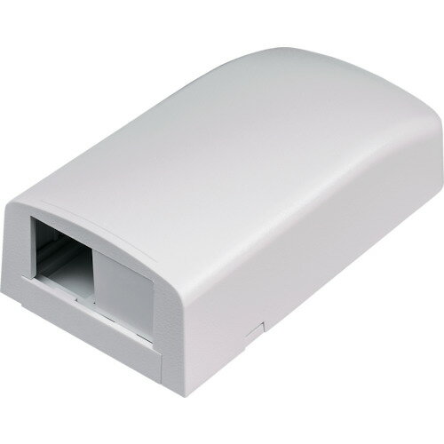 パンドウイット 【10個販売】PANDUIT 光ファイバー・マルチメディアアウトレット 2個口 白 CBX2WH-AY [1094-3032037]
