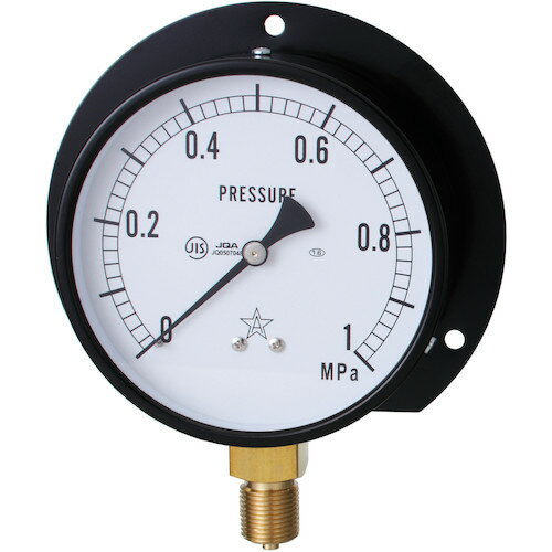 右下精器 右下 一般蒸気用圧力計（成績書・トレーサビリティ体系図付き） G421-211-M-0.1MPA-SET [1188-00001821]