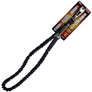 ݥ졼 DBLTACT ɡ1KG˥졼 DT-ST-03GR [1322-8308149]