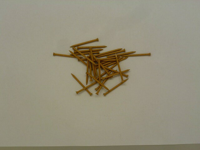 ビーバー プリントネイルクリーム BV 1F173 [1488-6611739]