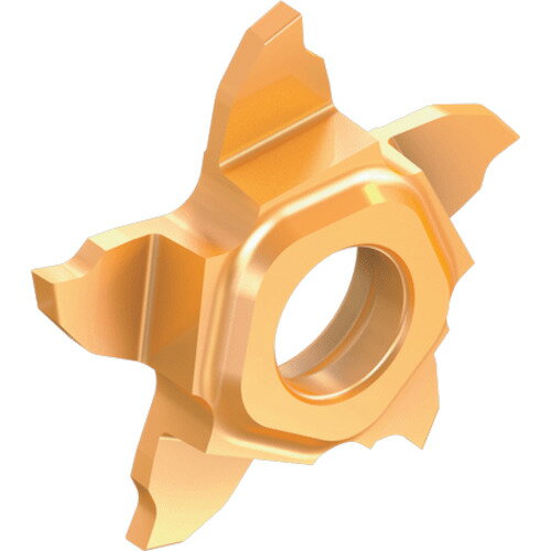 イスカルジャパン 【5個販売】イスカル 溝入れ・突切り工具用チップ ペンタカット チップ PENTA 17R/L-P-RS 右勝手 チップ長さ17mm IC1008 PENTA 17R200P-6D-RS [1526-00006844]