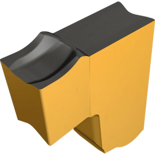 イスカルジャパン 【10個販売】イスカル タンググリップ チップ TAG N-LF IC1030 TAG N2LF [1526-00005181]