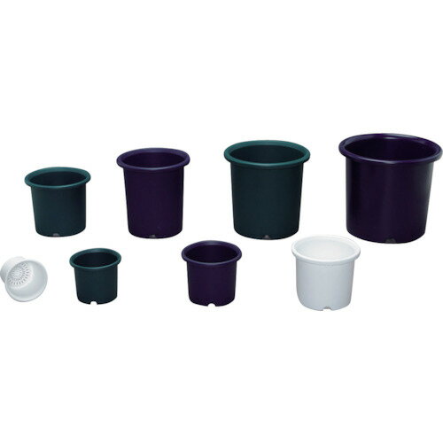 ꥹ IRIS ǥݥå ۥ磻 6 [155-702664]