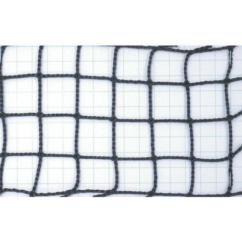 グリーンクロス 【別途送料】 【個人宅不可】 害獣防鳥ネット 25mm目 2x10 ブラック 6300040439 [1560-3422075]