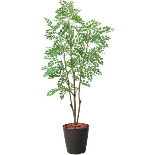 グリーンクロス 【別途送料】 【個人宅不可】 180cmトネリコポット BRL 6300029289 [1560-3433467]