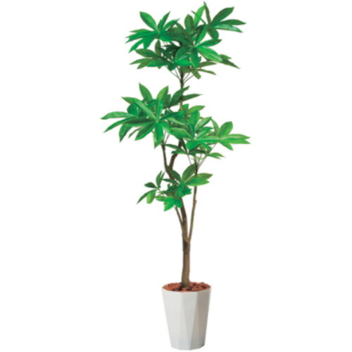 グリーンクロス 【別途送料】 【個人宅不可】 180cmパキラポット PWL 6300029307 [1560-3433504]