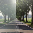 グリーンクロス 【個人宅不可】 ファサラ フロスト/マット SH2MAML ミルキーホワイト 1524mmX60m 6300034313 [1560-63974...