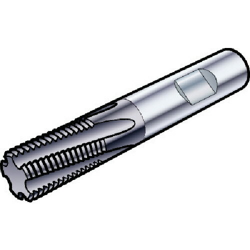 サンドビック SANDVIK コロミルプルーラ スレッドエンドミル（730） 1630 R217.13C060075AC12N [1572-0145397]