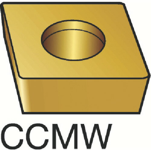 ɥӥå 10SANDVIK 107 ѥݥåס130 H13A CCMW 06 02 04 [1572-00019385]