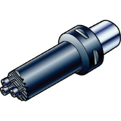 サンドビック SANDVIK コロマントキャプト コロターンSL防振ボーリングバイト（410） C4-570-3C 40 173 [1572-00024648]