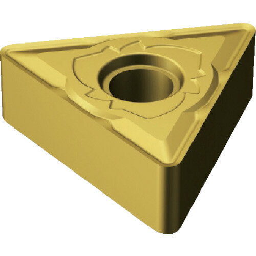 ɥӥå 10SANDVIK T-Max P ѥͥåס110 H13A TNMG 16 04 04-SM [1572-0191840]