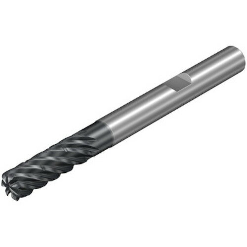 サンドビック SANDVIK コロミルDura一般加工用超硬エンドミル（732） 1730 1K357-0600-100-XD [1572-00038462]