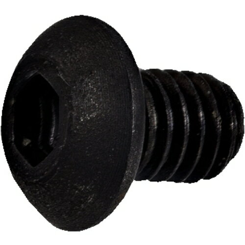 サンドビック SANDVIK ボタンヘッドスクリュー（810） 3212 105-453 [1572-00042056]