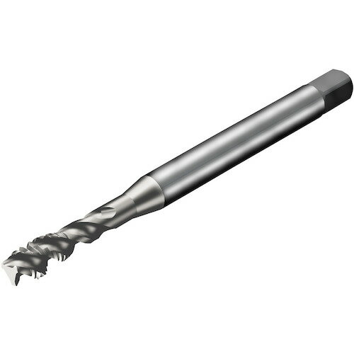ɥӥå SANDVIK å300 ѥ륿åס781 C150 T300-XM102AE-1/4 [1572-0004...