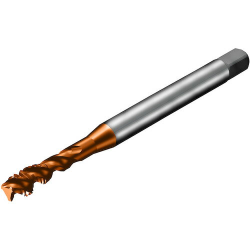 サンドビック SANDVIK コロタップ300 スパイラルタップ（781） C110 T300-XM102AA-M5 [1572-00042872]
