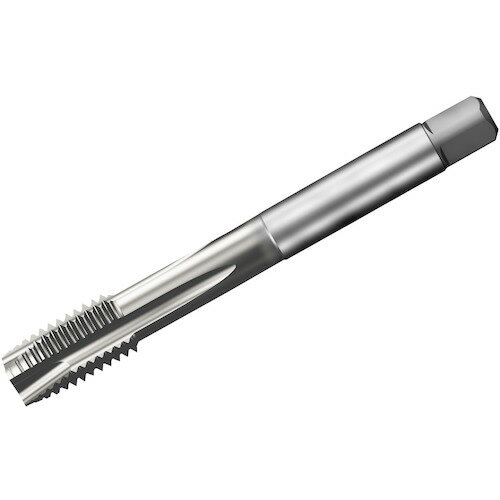 ɥӥå SANDVIK å200 ݥȥåס781 C150 T200-XM101DE-5/8 [1572-00043...