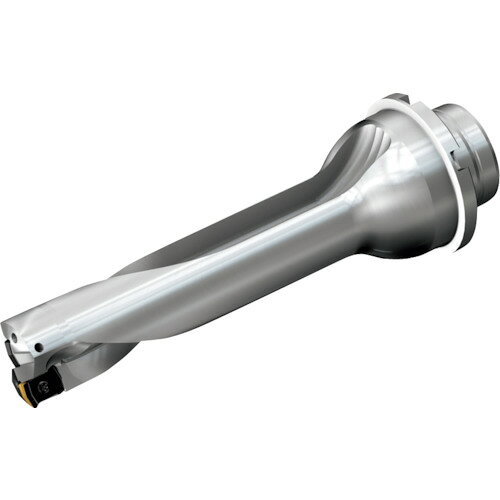 サンドビック SANDVIK コロドリルDS20刃先交換式ドリル（465） DS20-D3493DM40-04 [1572-00045120]