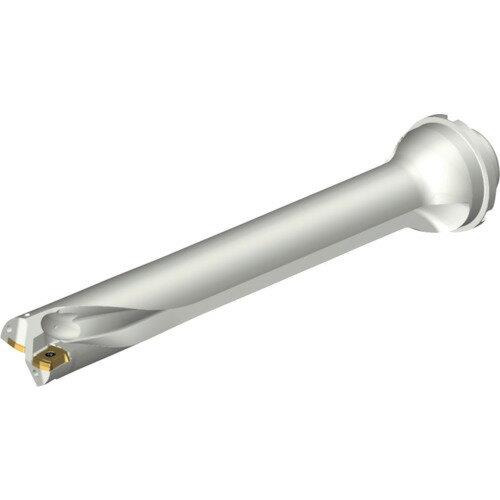 サンドビック SANDVIK コロドリルDS20刃先交換式ドリル（465） DS20-D3650DM40-07 [1572-00045268]