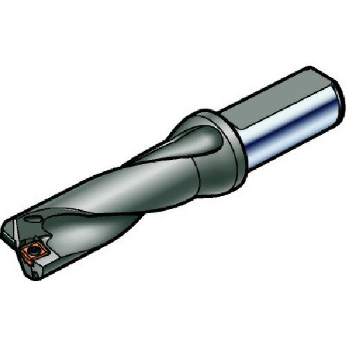 サンドビック SANDVIK 刃先交換式ドリル スーパーUドリル（465） 880-D1750C6-03 [1572-0078466]